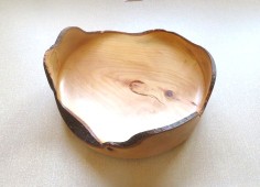 Horse chestnut dish won a commended certificate for Nick Adamek